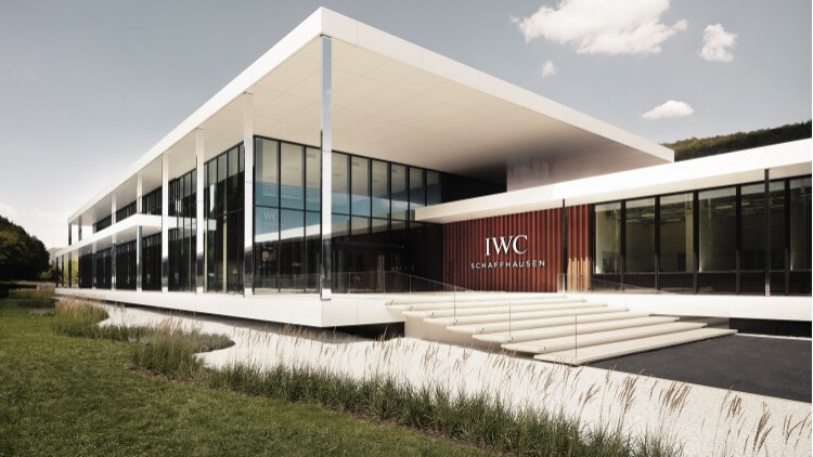 IWC Portugese Perpetual
