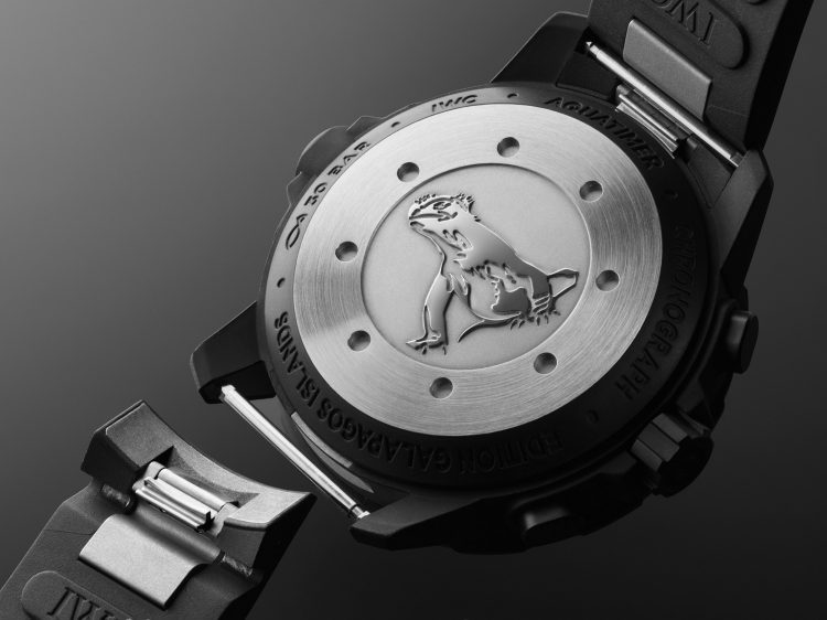 Aquatimer watch back